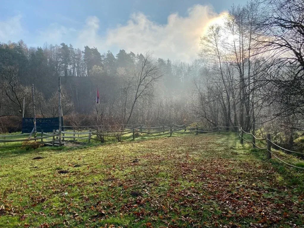 Gra paintballowa w terenie leśnym